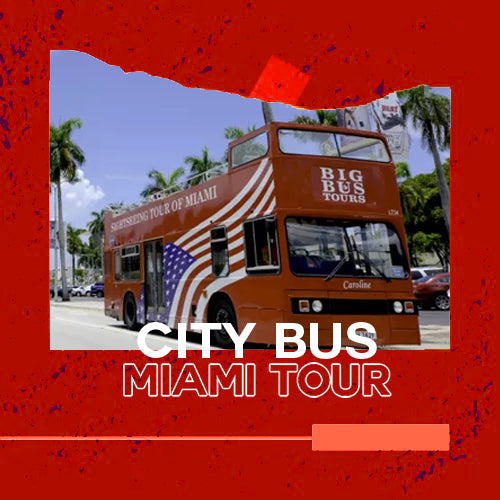 CITY BUS TOUR