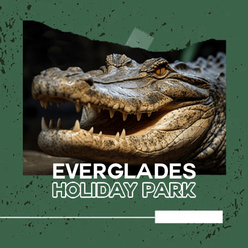 EVERGLADES - HOLIDAY PARK